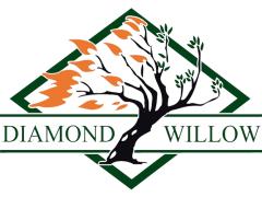 Diamond Willow Mechanical